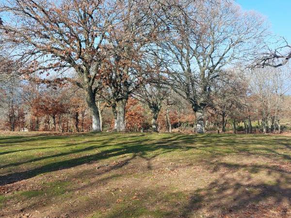 Serçiler Köyü Hıdırdağ Mevkii Antrenman Yürüyüşü