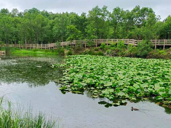 Nilüfer Gölü, Abdiağa Köyü Yürüyüş Antrenmanı